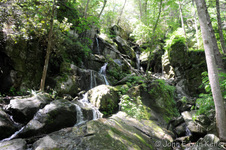 Enlarge photo 18