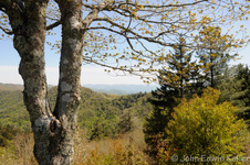 Enlarge photo 20