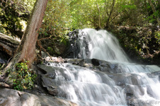 Great Smoky Mountains National Park