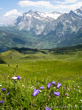 Enlarge photo 3