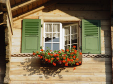 Enlarge photo 19
