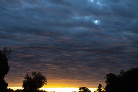 Enlarge photo 11