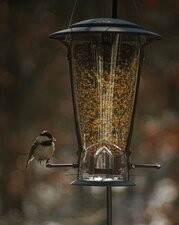 Enlarge photo 17