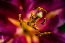 Enlarge photo 19