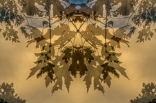 Enlarge photo 10
