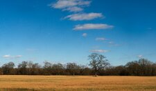 Enlarge photo 1