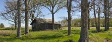 Enlarge photo 15