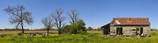 Enlarge photo 12