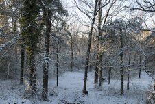Enlarge photo 16