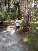 Enlarge photo 355