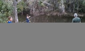 Enlarge photo 290