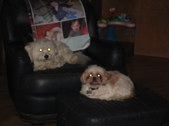 Enlarge photo 37