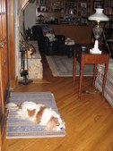Enlarge photo 38
