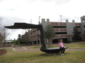 Enlarge photo 41