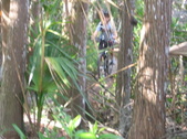 Enlarge photo 119