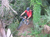 Enlarge photo 130