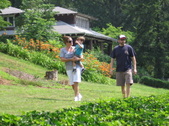 Enlarge photo 160
