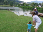 Enlarge photo 167