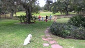 Enlarge photo 44