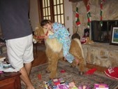 Enlarge photo 160