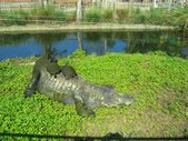 Enlarge photo 216