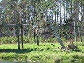 Enlarge photo 196