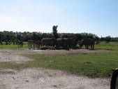 Enlarge photo 202