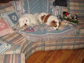Enlarge photo 175