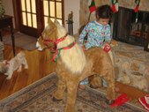 Enlarge photo 156