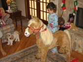 Enlarge photo 157