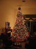 Enlarge photo 125