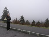 Enlarge photo 35