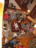 Enlarge photo 101