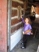 Enlarge photo 222