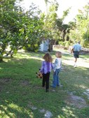 Enlarge photo 223