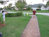 Enlarge photo 131