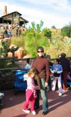 Enlarge photo 76