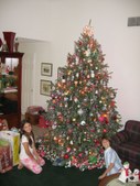 Enlarge photo 142
