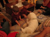 Enlarge photo 124
