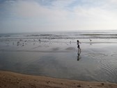 Enlarge photo 170