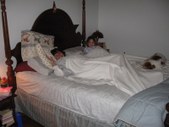 Enlarge photo 37