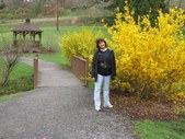 Enlarge photo 54