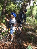 Enlarge photo 75