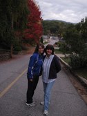 Enlarge photo 245