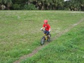 Enlarge photo 32