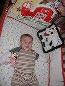 Enlarge photo 253