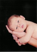Enlarge photo 138