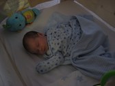 Enlarge photo 172