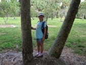 Enlarge photo 156