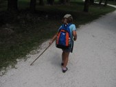 Enlarge photo 145
